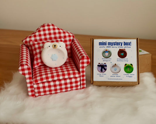 Mini Mystery Box! (Winter 2025 Worry Stone Edition)